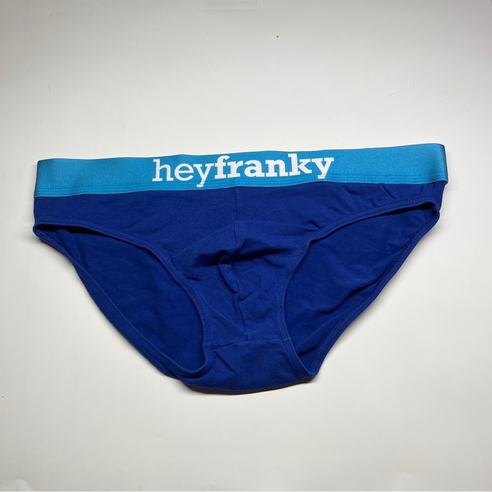 Men's Briefs in Royal Blue with Aqua Waistband HeyFranky